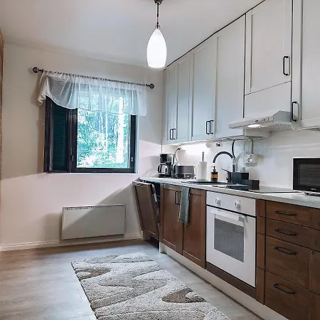 Sapelin Airbnb, Parkano