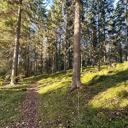 Sapelin Airbnb, شقة Parkano