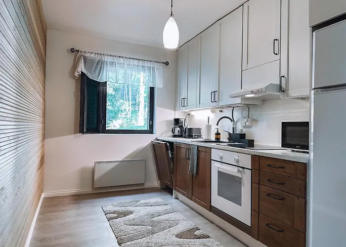 Sapelin Airbnb, Parkano