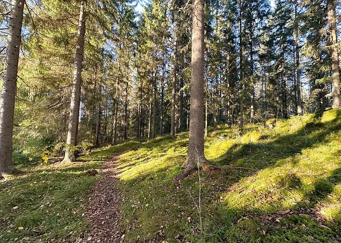 Sapelin Airbnb, Lägenhet Parkano